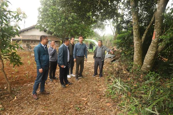 广西农科院基地管理处到广西南亚所调研检查科研基地安全生产管理工作