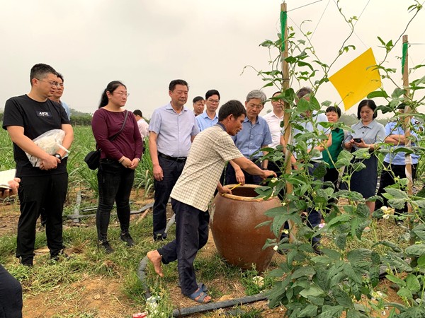 调研组调查豇豆种植情况_副本.jpg