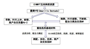 6_副本_副本.jpg