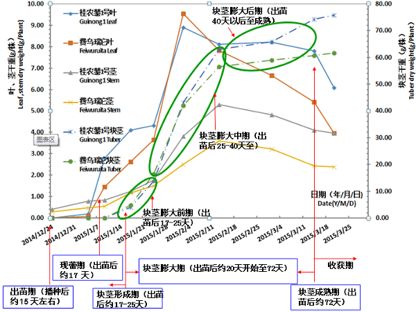 马铃薯报道图片7.png