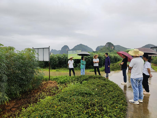 贵州省亚热带作物研究所块根块茎创新团队到广西南亚所调研