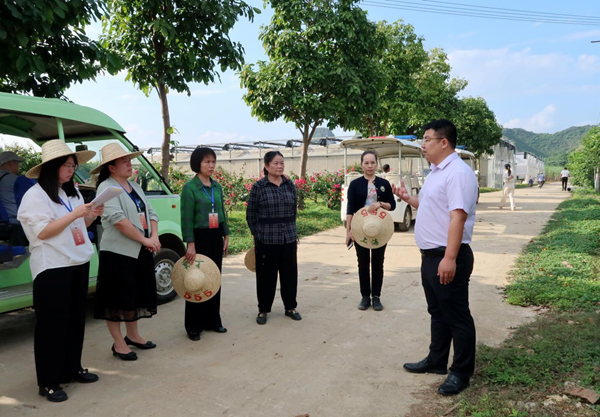 住崇左市自治区政协委员到南亚所进行考察