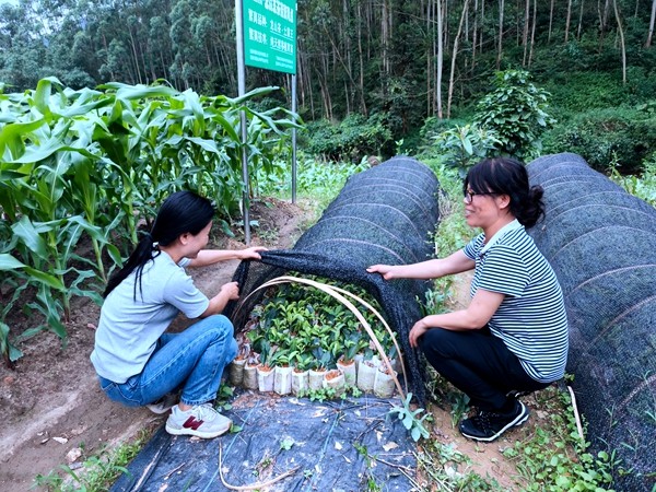 队员彭靖茹在指导农户育苗_副本.jpg