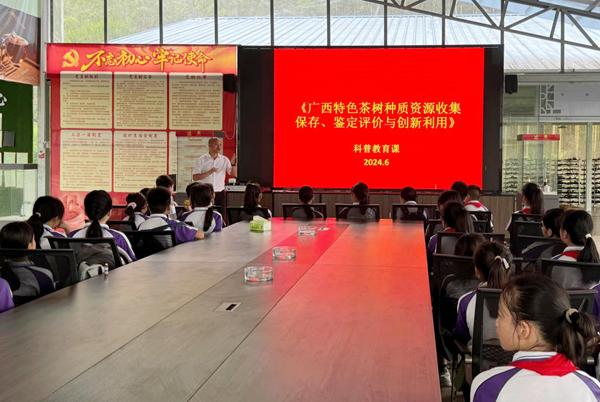 图片1_副本.png