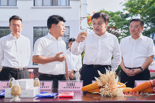 海南省委书记冯飞调研南繁种业高质量发展情况
