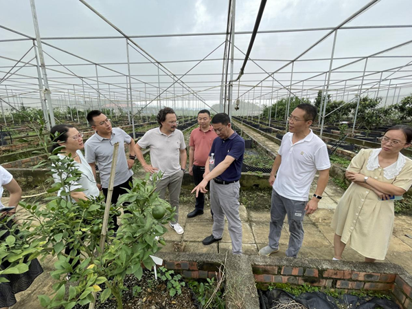 华中农业大学及西班牙瓦伦西亚农业研究院专家到广西农业科学院调研交流