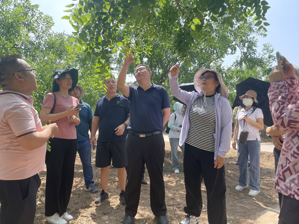 院科技人员参加中国园艺学会分子育种分会第五届学术年会