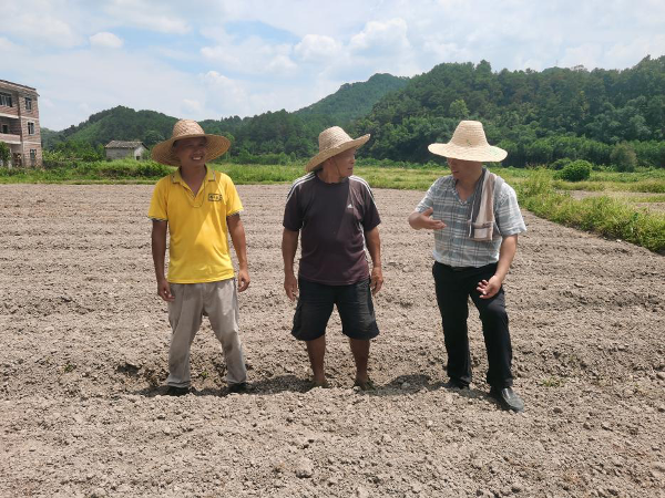 国家乡村振兴重点帮扶县广西昭平科技特派团专家到昭平县黄姚镇开展技术服务.png