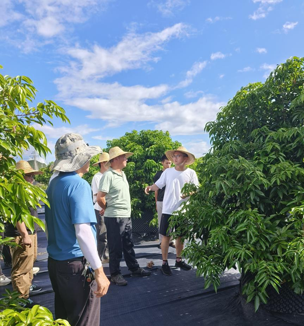 国家荔枝龙眼产业技术体系首席科学家陈厚彬教授应邀到重点实验室荔枝育种基地指导工作