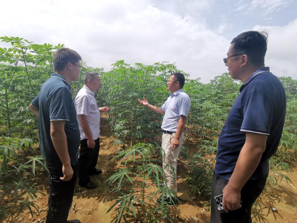 云南省农业科学院国际农业研究所一行到经作所调研交流