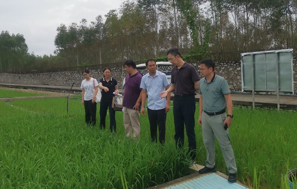 自治区生态环境厅生态环境监测与应急处到广西农业科学院调研交流