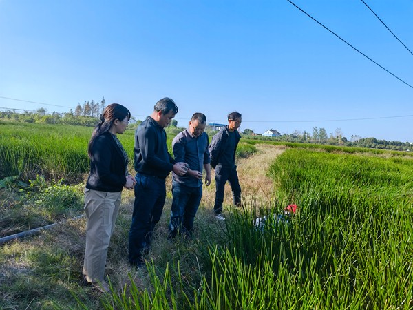 国家特色蔬菜产业技术体系贺州综合试验站到湖北交流