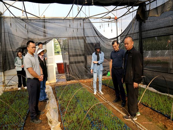 国家糖料产业技术体系甘蔗养分管理与土壤肥料岗位科学家一行到百色分院、桂林分院调研指导