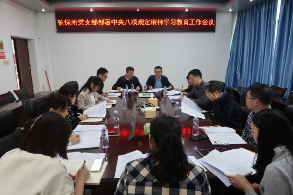 修改-IMG_202504083633_600x400.jpg