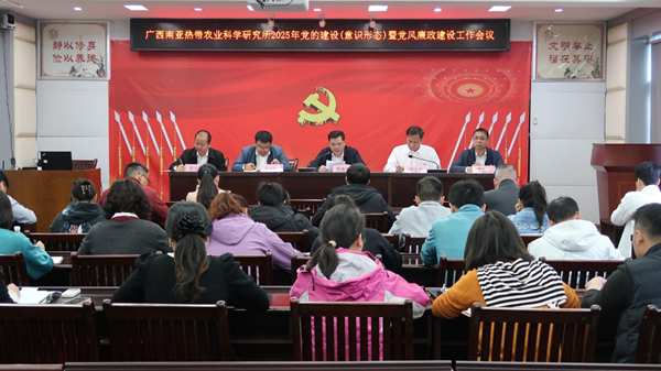 广西南亚所召开2025年党的建设（意识形态）暨党风廉政建设工作会议