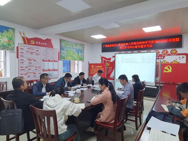 广西南亚所召开深入贯彻中央八项规定精神学习教育读书班集中研讨暨党委理论学习中心组2025年第二次学习（扩大）会