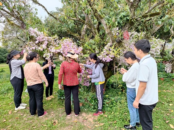 支部党员实地指导兰花种植中的技术问题_副本.jpg