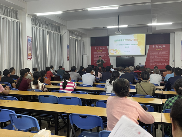 园艺研究所举办龙眼花果期管理技术培训会