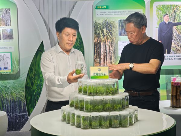 2025.4.14彭德 (2)_副本.jpg