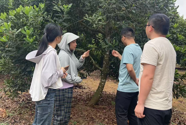 图片2_副本_副本.png