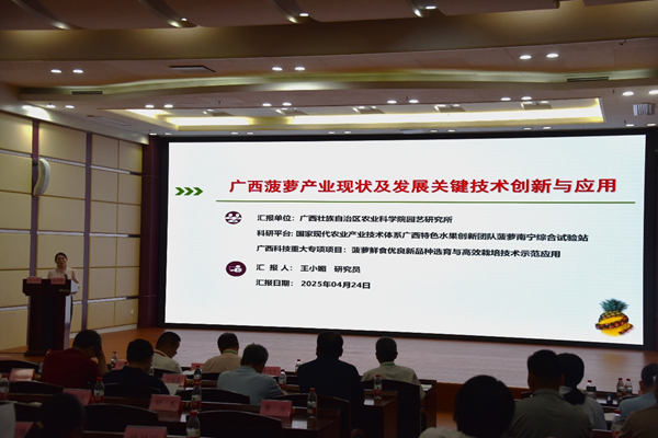 园艺所科技人员参加中国热带作物学会第一届菠萝专业委员会成立大会暨2025年菠萝产业发展研讨会