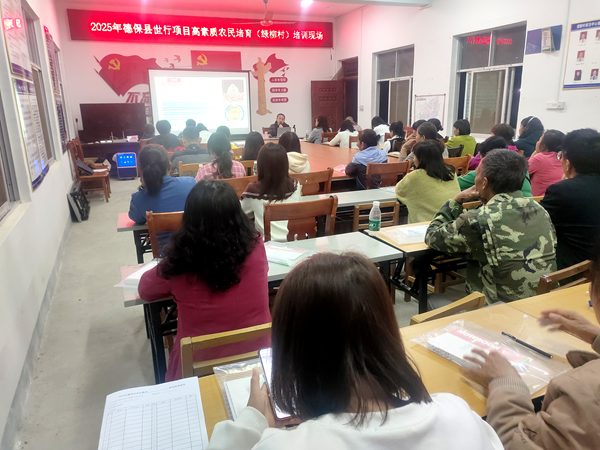 图片1_副本.png