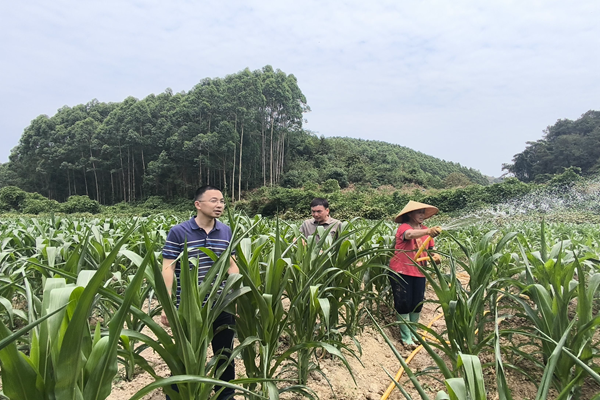 2D509D8EB58140D26F527C205CB39130_副本.png