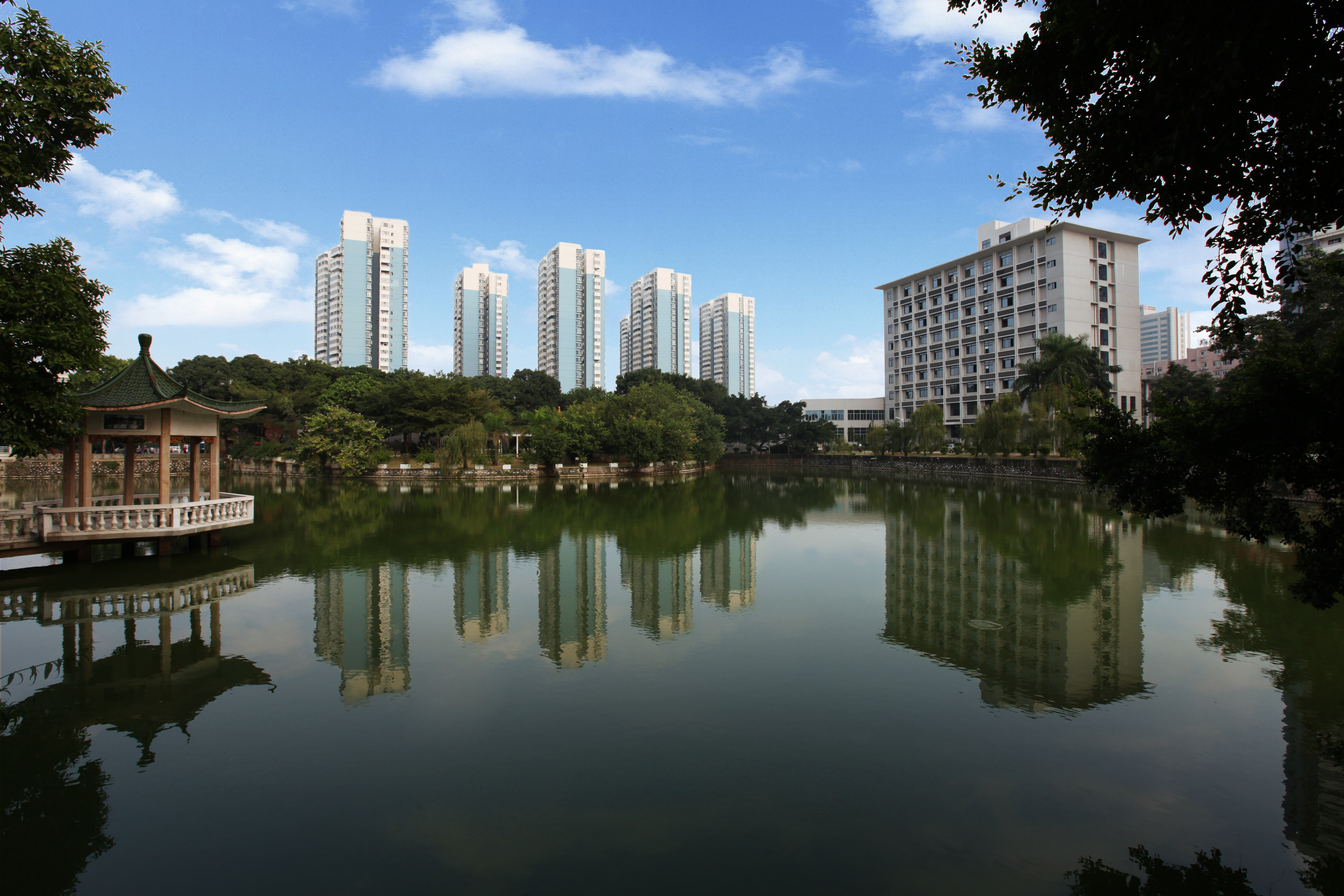 奋进新征程 喜迎广西农业科学院建院九十周年系列报道之后勤保障工作篇 