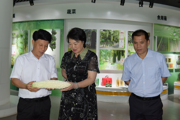 自治区人大监察和司法委员会主任委员王革冰到自治区农科院调研