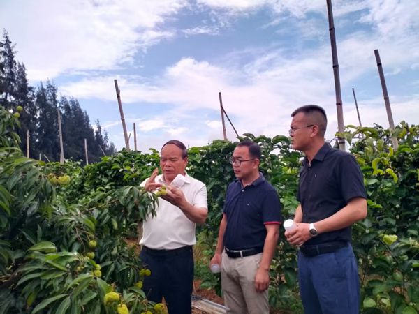 微信图片_20250606113011_副本.jpg
