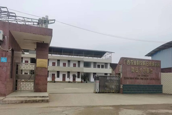 丁当基地大门及办公楼-1.jpg