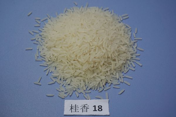 6_副本.jpg