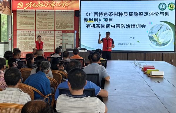 图片1_副本.png