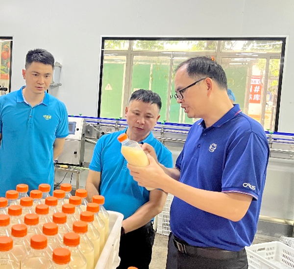 加工所科技人员赴武鸣开展国家重点研发计划“荔枝、柚等热带水果产业关键技术集成与示范”项目实施工作