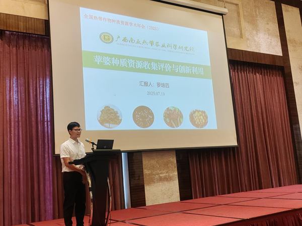 图片3_副本.png