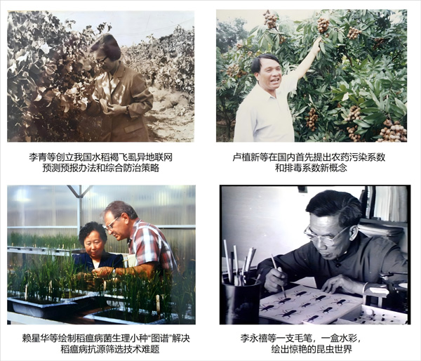 老专家.jpg
