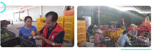 QQ图片20250828153704.png