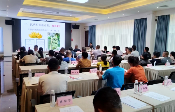 图片1_副本.jpg