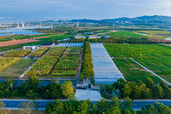 10-广西南繁基地_副本.jpg