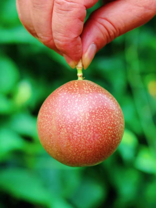 upfile 2fde393cd22bf04825827ca166039c62_副本.jpg