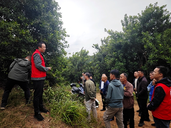 upfile 坚果技术培训_副本.jpg