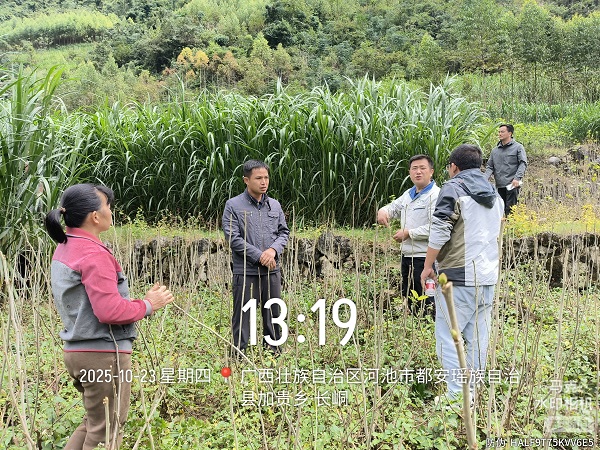 upfile 微信图片_20251023163306.jpg