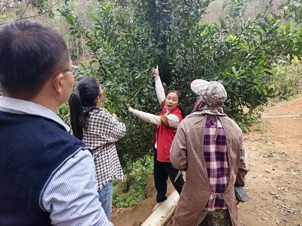 upfile 微信图片_20251023111824_26_211_副本.jpg