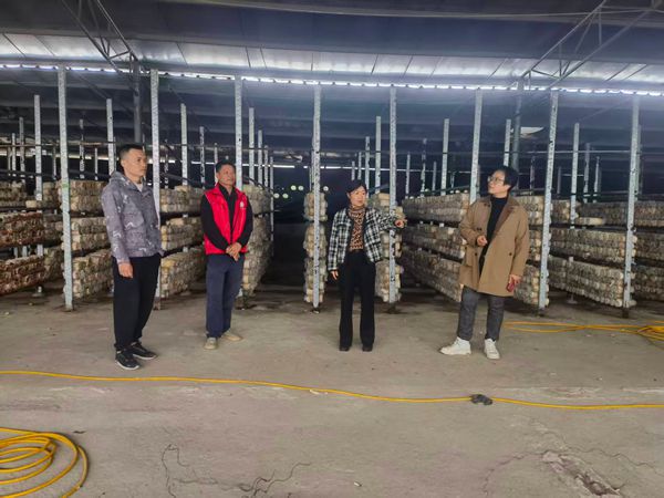 upfile 微信图片_20251024175504.jpg