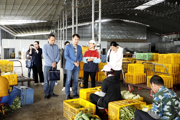 upfile _MG_5101_副本_副本.jpg