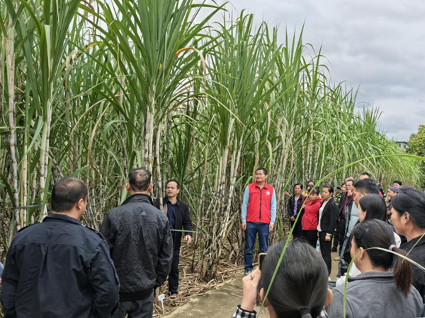 upfile 图片1222_副本.png