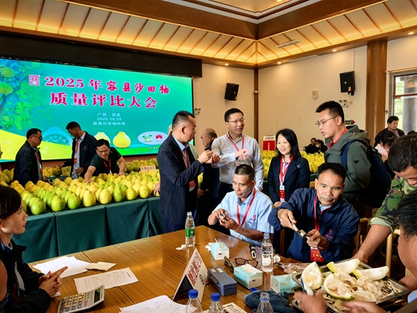 园艺所邀请华中农业大学专家赴容县助力沙田柚产业提质升级