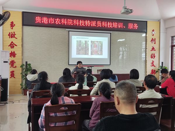 upfile 微信图片_20251031175635.jpg