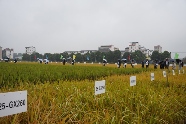 2025.10.31 (2)_副本.jpg