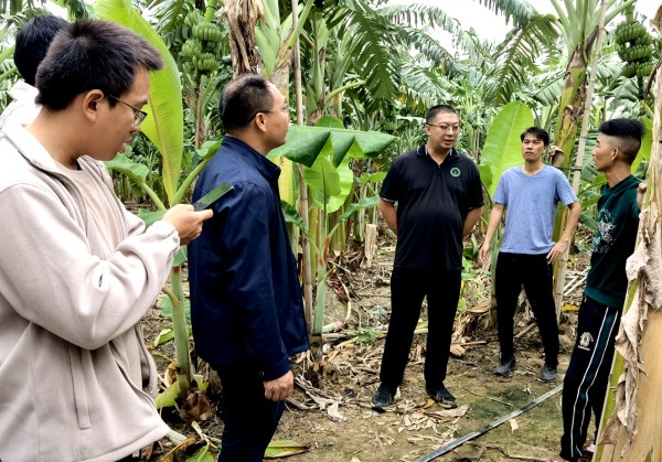 upfile IMG_20251031_102816_副本.jpg